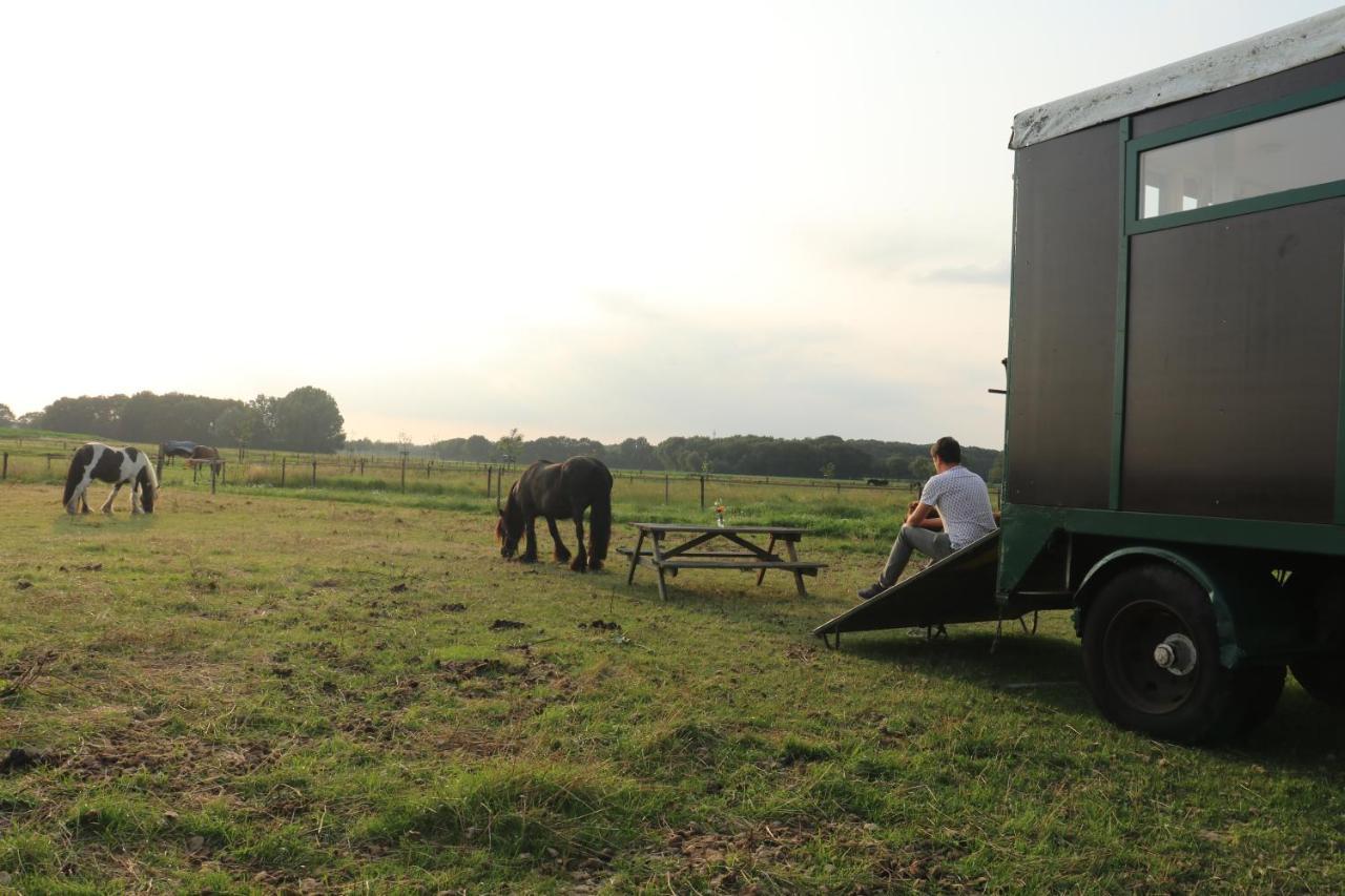 Slapen Tussen De Paarden Hotell Essen Exteriör bild